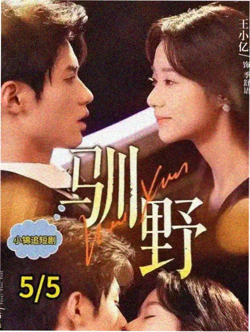 少年歌行暗河传 在线观看